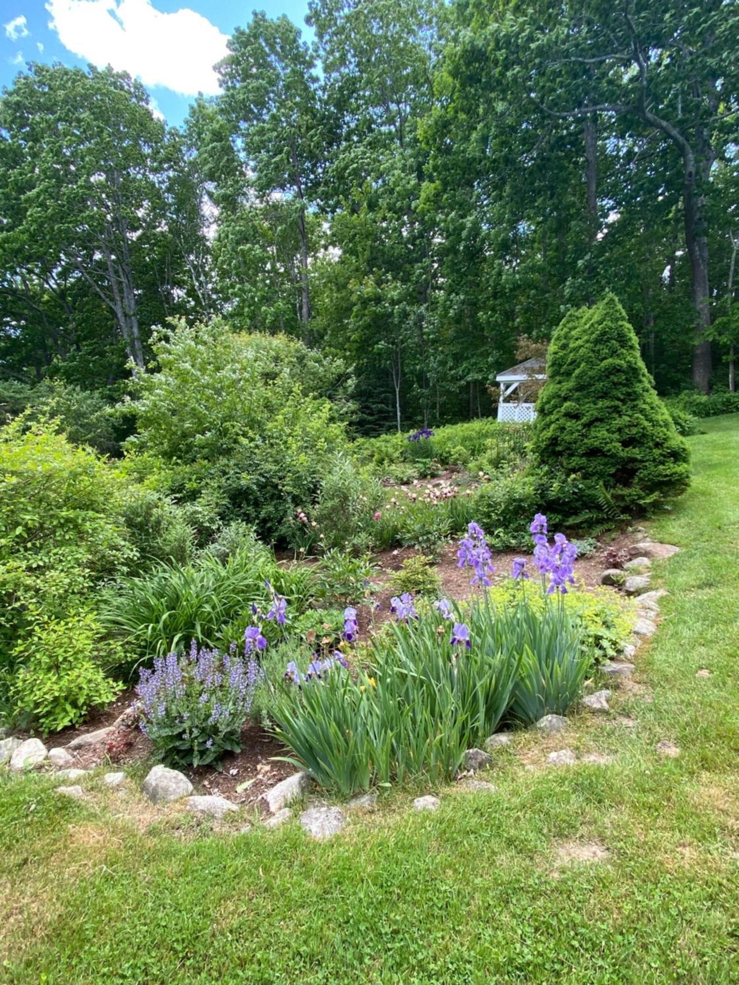 Victorian By The Sea Bed & Breakfast Lincolnville Bagian luar foto